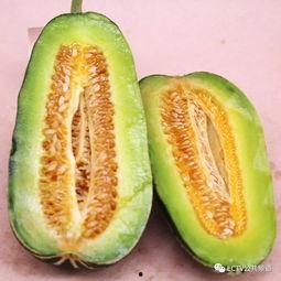 最幸福的是吃瓜,探寻最幸福的吃瓜时光