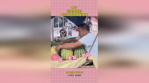 吃瓜撩撩子,揭秘娱乐圈那些不为人知的幕后故事