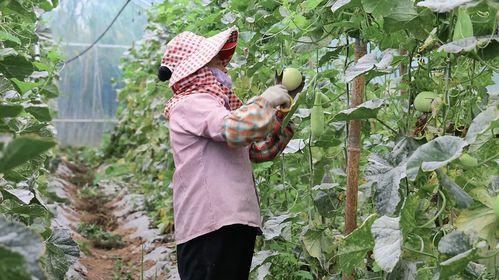 课后吃瓜拓展训练,趣味学习新体验