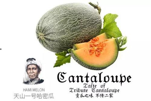 吃瓜团人名推荐,人名背后的故事与传奇