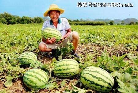 路边瓜吃不吃,吃还是不吃，这是一个问题