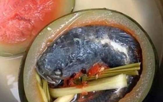 吃瓜不吃鱼,探寻美食背后的趣味与智慧