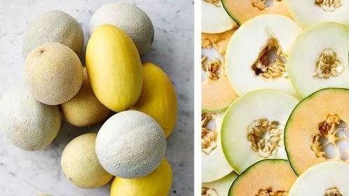 吃瓜的网页链接,揭秘吃瓜群众背后的网络热点追踪