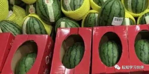 郑州师范吃瓜解说,校园热点背后的趣味解读