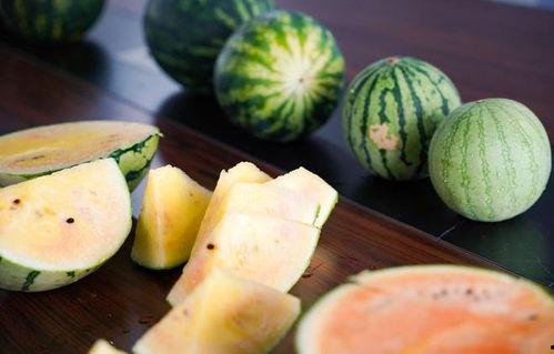 吃瓜像什么,揭秘网络时代的“瓜”文化现象