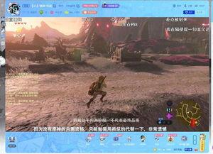 塞尔达吃瓜大姐,吃瓜大姐的奇幻冒险之旅