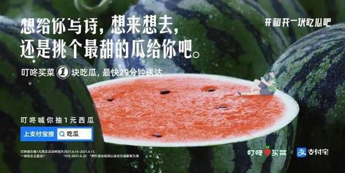 和儿子吃瓜文案,共享夏日清凉瓜果时光