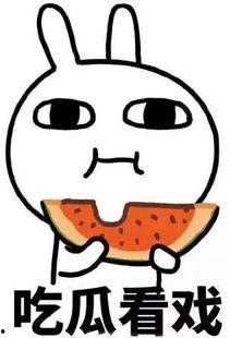 继续吃瓜芒果台,继续吃瓜大幕拉开