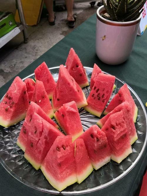 宁夏吃瓜日记,一场别开生面的“吃瓜”之旅