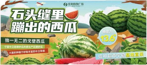 678吃瓜今日热门大瓜,揭秘今日热门大瓜背后的真相