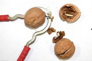 夹子吃瓜系统,揭秘网络舆论场的新宠儿