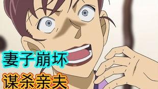 吃瓜侦探局zip,一场网络迷案的追踪之旅