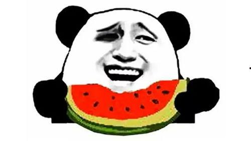 绿光森林吃瓜,一场奇幻吃瓜之旅