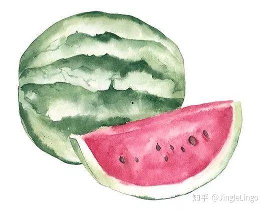 规矩吃瓜,揭秘吃瓜群众的正确姿势