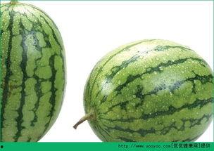 吃生瓜过敏症状,揭秘过敏症状与应对策略