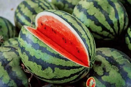 美国吃瓜指南,揭秘美式“瓜田”里的那些事儿