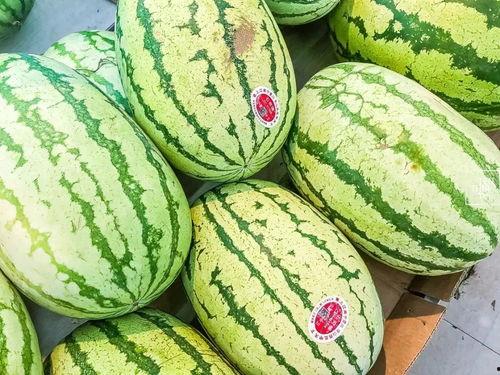 吃瓜的瓜是什么情况,一场网络文化的狂欢与反思