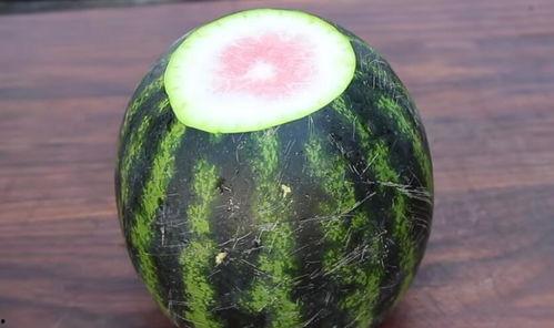 三农哥吃蜜瓜,甜蜜滋味，共享丰收喜悦