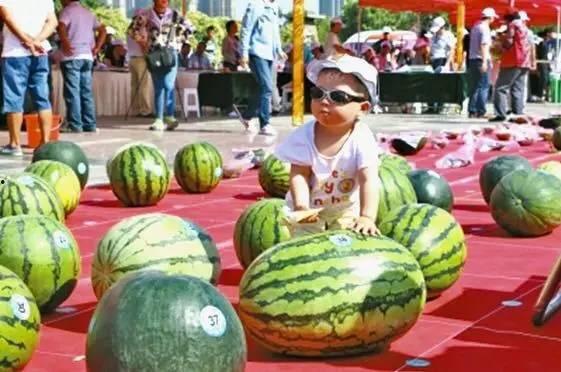 瓜王吃瓜,揭秘娱乐圈的甜蜜与苦涩