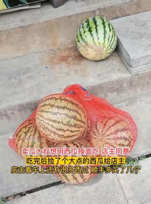 捡几个瓜吃,闲逛街头，品味生活小确幸