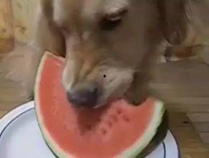 老汪吃瓜,揭秘娱乐圈那些不为人知的幕后故事