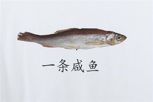 无聊吃瓜咸鱼,无聊吃瓜咸鱼的趣味生活点滴