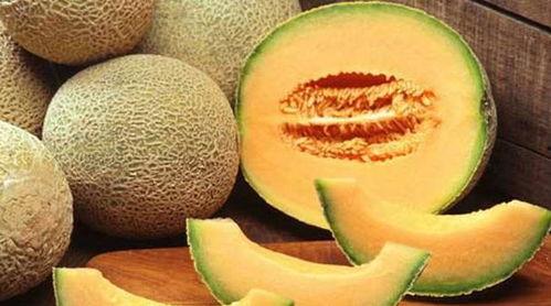 大美女吃哈密瓜,甜蜜邂逅，尽享夏日清新