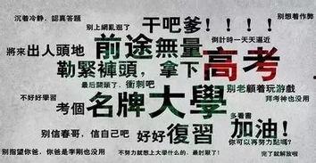 学历吃瓜,揭秘学历背后的社会现象