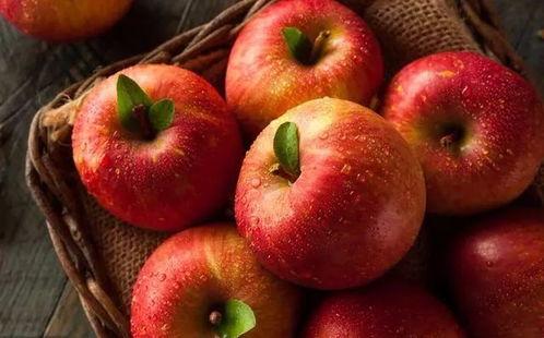 成人礼吃瓜苹果,揭秘吃瓜苹果背后的甜蜜秘密