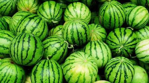 沈职吃瓜,揭秘那些年我们一起吃瓜的日子