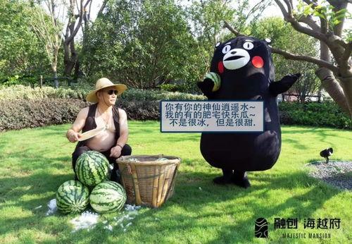 美业吃瓜事件,揭秘“吃瓜”背后的真相与反思