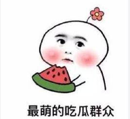 吃瓜群众的眼睛,吃瓜群众视角下的娱乐圈风云录