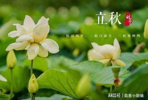 立秋之后莫吃瓜,莫再贪吃瓜果