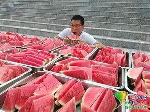 山东潍坊学校吃瓜,揭秘校园里的那些“瓜”