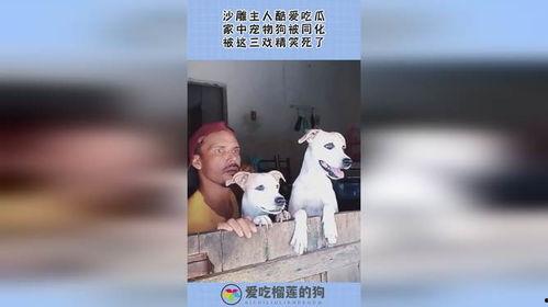 吃瓜的沙雕id