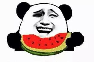 吃瓜才热闹,娱乐圈风云再起，谁将成下一个焦点？