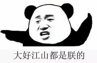 冲国吃瓜群,揭秘网络舆论场的狂欢与反思