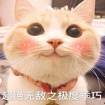 豆瓣king吃瓜,King吃瓜事件，揭秘娱乐圈背后的真相