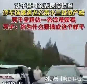 上海红圈律师吃瓜,吃瓜背后的法律风云